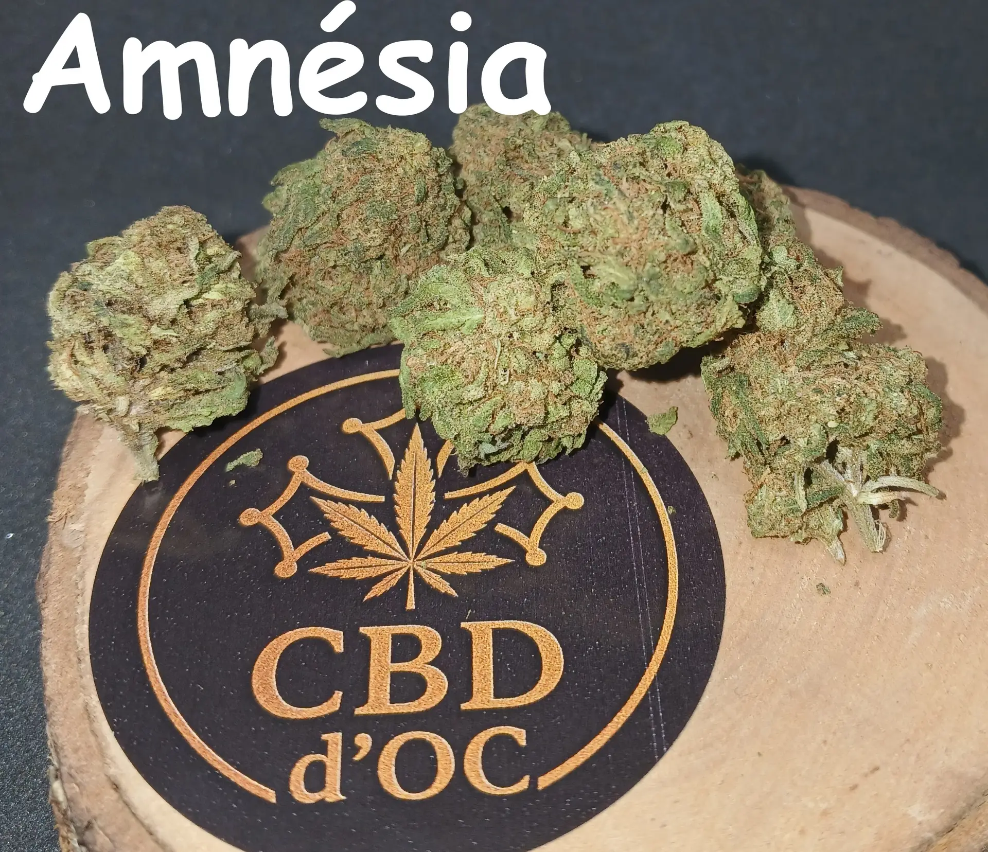 Amnésia AVEC NOM