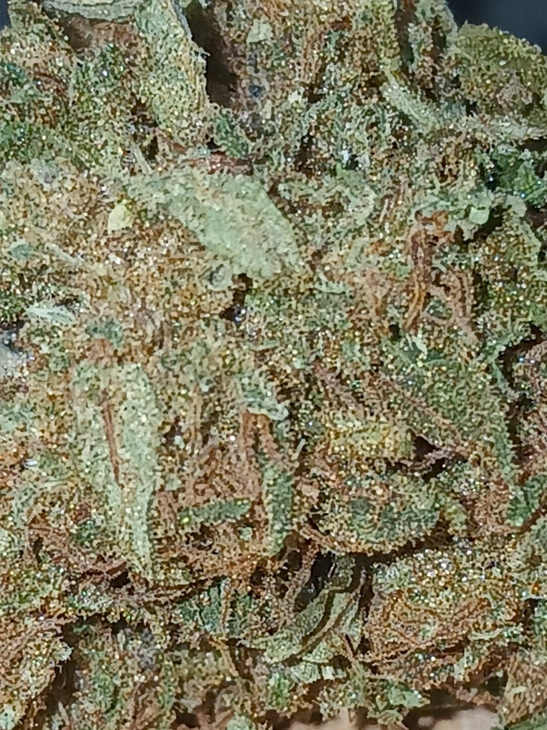 chemberry zoom tête